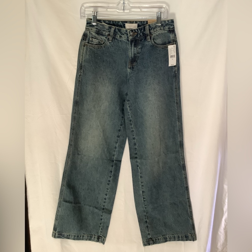 PacSun Casey Dark Tint Low Rise Baggy Jeans Size 24 NWT